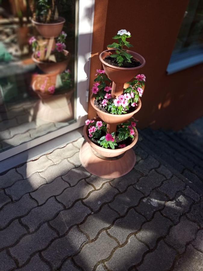 Pergola Panzió Hotel Balatonföldvár Exterior foto